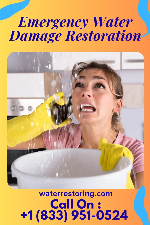 Emergency Water Damage Restoration in Shindler, SD